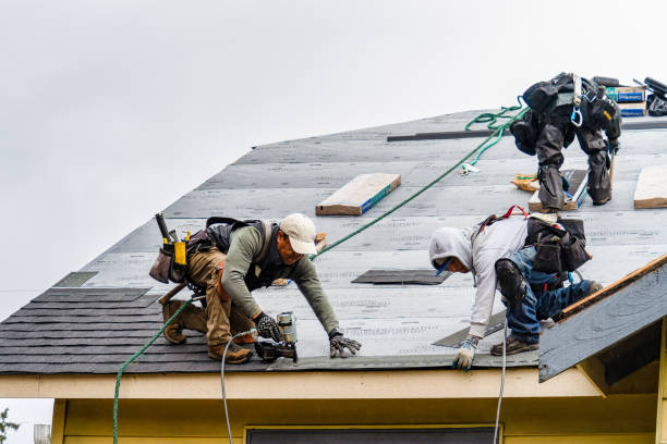 Professional Gutter Installation technician working in Leonard, MN